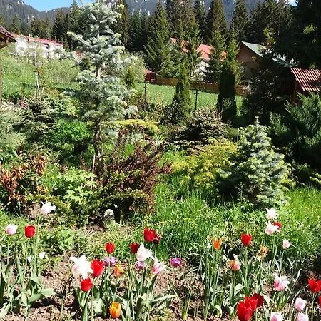 Farmház Casa Serban