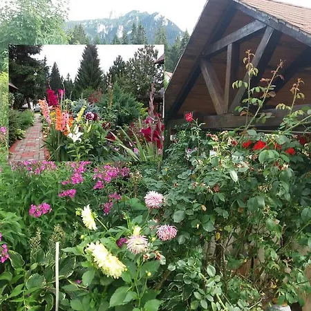 Farmház Casa Serban