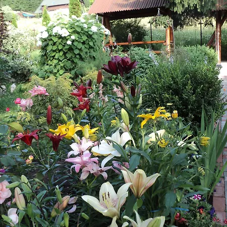 Casa Serban *